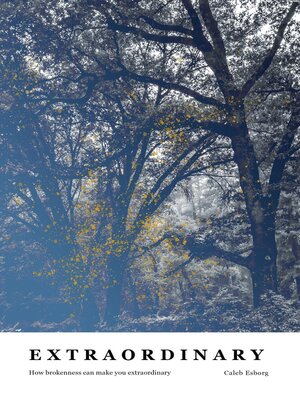 cover image of Extraordinary